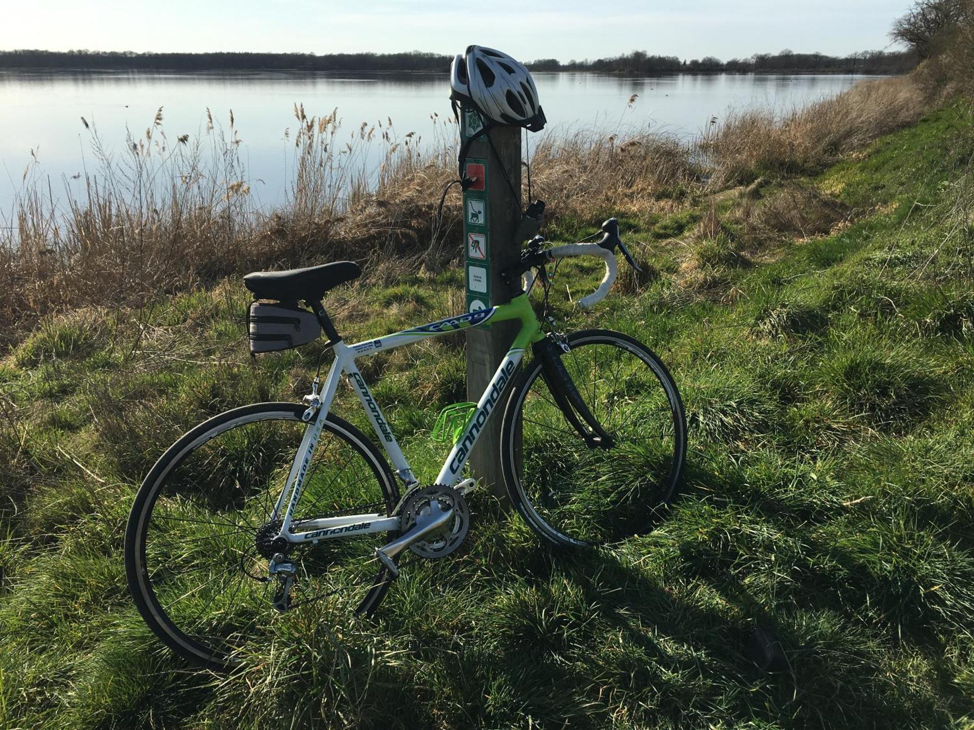 Roue D'Escampette Gite D'Etape Et De Sejour Champagnat  Dış mekan fotoğraf